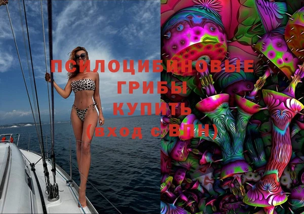 гидра Майский