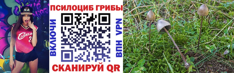 Псилоцибиновые грибы мухоморы  Арзамас 