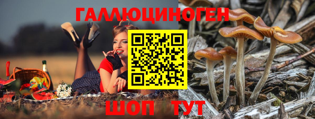 Галлюциногенные грибы GOLDEN TEACHER Арзамас